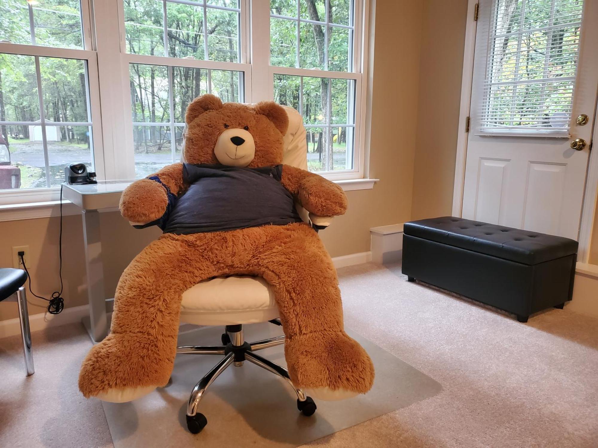Spacious Home By Kalahari Waterpark, Camelback And Jim Thorpe, Free Ev Station Albrightsville 外观 照片